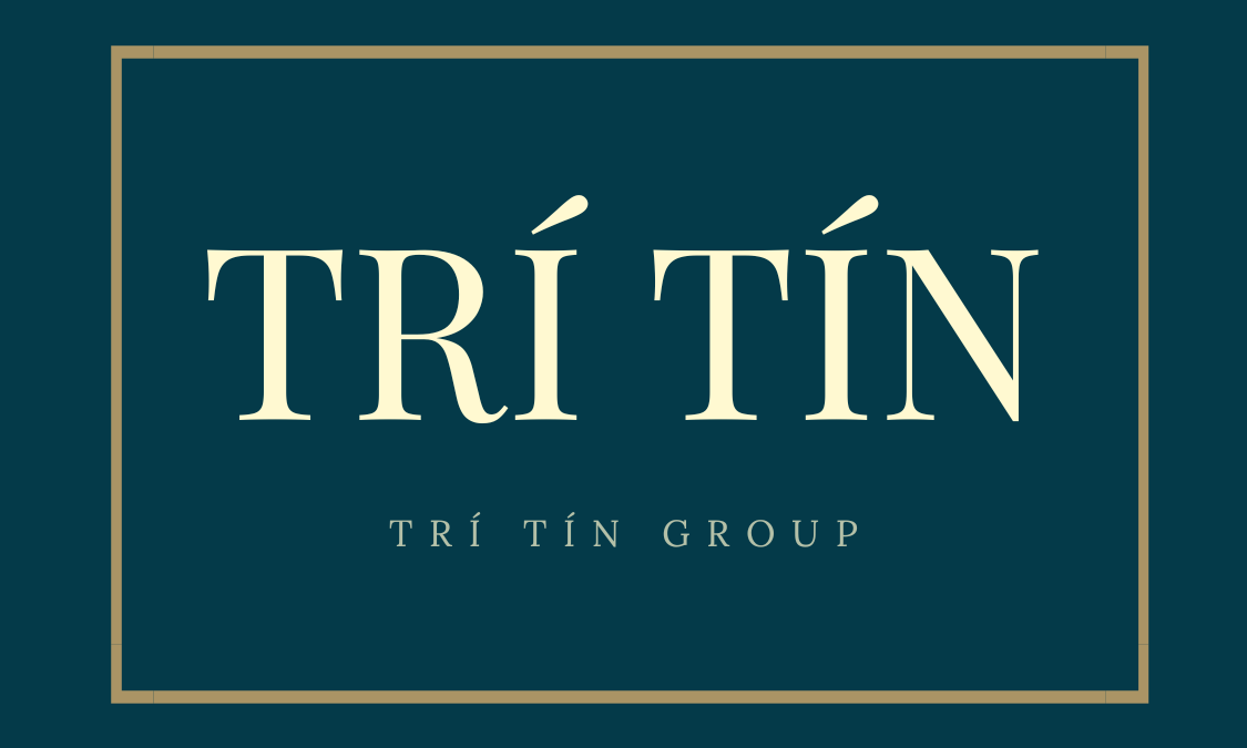 logo- tritingroup.vn